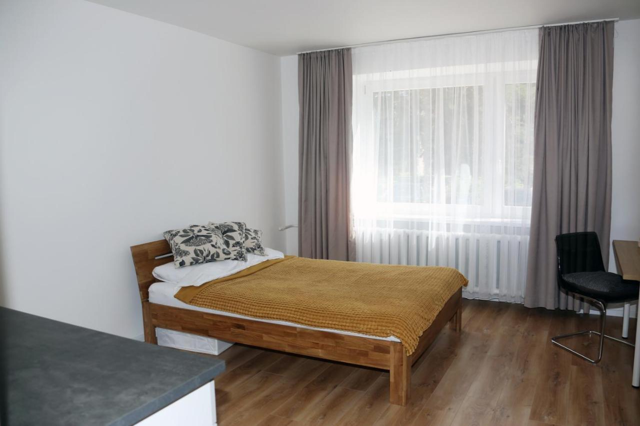 דירות ויסגינס Naujai Suremontuotas Butas Miesto Centre. מראה חיצוני תמונה